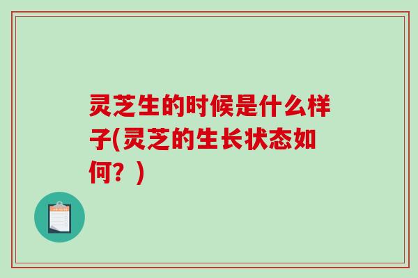 灵芝生的时候是什么样子(灵芝的生长状态如何?)-第1张图片-破壁灵芝孢子粉研究指南 灵芝生的时候是什么样子(灵芝的生长状态如何?)-第1张图片-破壁灵芝孢子粉研究指南