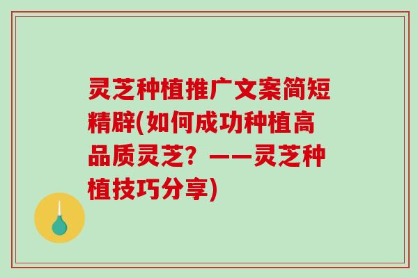 灵芝种植推广文案简短精辟(如何成功种植高品质灵芝?——灵芝种植技巧分享)-第1张图片-破壁灵芝孢子粉研究指南 灵芝种植推广文案简短精辟(如何成功种植高品质灵芝?——灵芝种植技巧分享)-第1张图片-破壁灵芝孢子粉研究指南