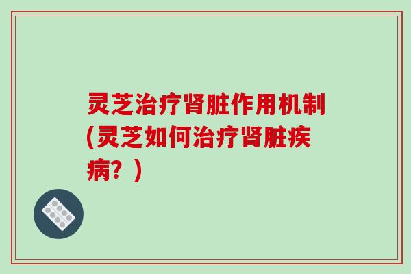 灵芝治疗肾脏作用机制(灵芝如何治疗肾脏疾病?)-第1张图片-破壁灵芝孢子粉研究指南 灵芝治疗肾脏作用机制(灵芝如何治疗肾脏疾病?)-第1张图片-破壁灵芝孢子粉研究指南