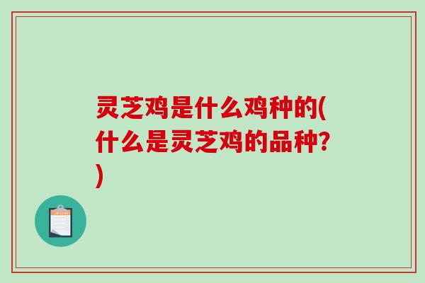 灵芝鸡是什么鸡种的(什么是灵芝鸡的品种?)-第1张图片-破壁灵芝孢子粉研究指南 灵芝鸡是什么鸡种的(什么是灵芝鸡的品种?)-第1张图片-破壁灵芝孢子粉研究指南