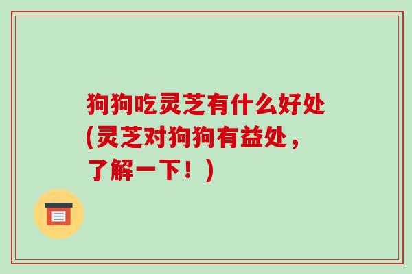 狗狗吃灵芝有什么好处(灵芝对狗狗有益处,了解一下!)-第1张图片-破壁灵芝孢子粉研究指南 狗狗吃灵芝有什么好处(灵芝对狗狗有益处,了解一下!)-第1张图片-破壁灵芝孢子粉研究指南