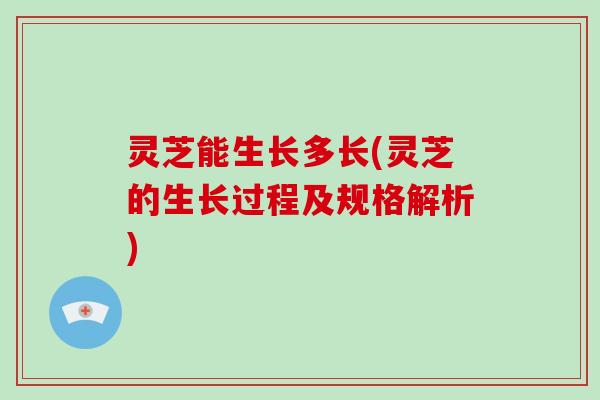 灵芝能生长多长(灵芝的生长过程及规格解析)-第1张图片-破壁灵芝孢子粉研究指南