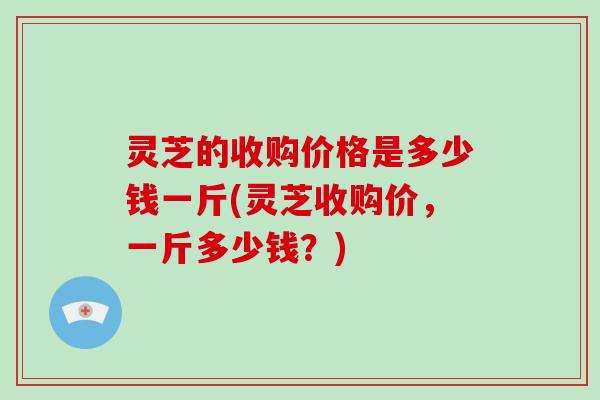 灵芝的收购价格是多少钱一斤(灵芝收购价,一斤多少钱?)-第1张图片-破壁灵芝孢子粉研究指南 灵芝的收购价格是多少钱一斤(灵芝收购价,一斤多少钱?)-第1张图片-破壁灵芝孢子粉研究指南