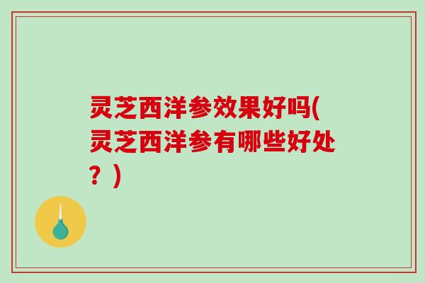 灵芝西洋参效果好吗(灵芝西洋参有哪些好处?)-第1张图片-破壁灵芝孢子粉研究指南 灵芝西洋参效果好吗(灵芝西洋参有哪些好处?)-第1张图片-破壁灵芝孢子粉研究指南