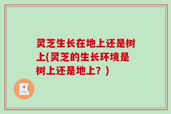 灵芝生长在地上还是树上(灵芝的生长环境是树上还是地上?)-第1张图片-破壁灵芝孢子粉研究指南 灵芝生长在地上还是树上(灵芝的生长环境是树上还是地上?)-第1张图片-破壁灵芝孢子粉研究指南