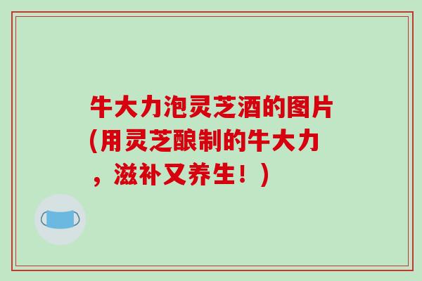 牛大力泡灵芝酒的图片(用灵芝酿制的牛大力，滋补又养生！)-第1张图片-破壁灵芝孢子粉研究指南