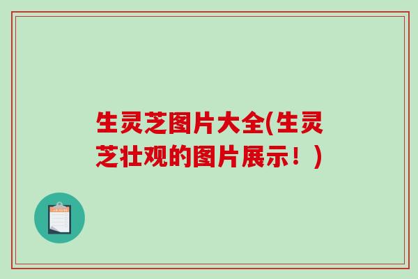 生灵芝图片大全(生灵芝壮观的图片展示！)-第1张图片-破壁灵芝孢子粉研究指南