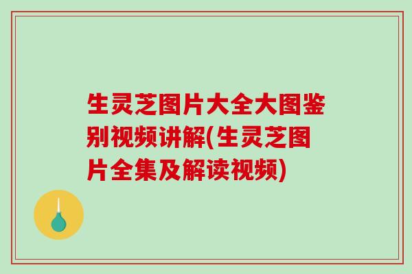 生灵芝图片大全大图鉴别视频讲解(生灵芝图片全集及解读视频)-第1张图片-破壁灵芝孢子粉研究指南
