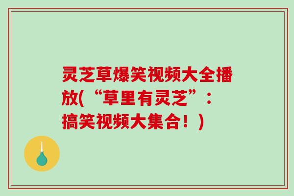灵芝草爆笑视频大全播放(“草里有灵芝”:搞笑视频大集合!)-第1张图片-破壁灵芝孢子粉研究指南 灵芝草爆笑视频大全播放(“草里有灵芝”:搞笑视频大集合!)-第1张图片-破壁灵芝孢子粉研究指南