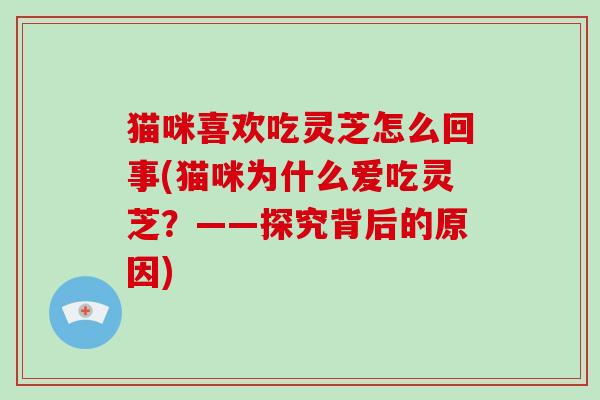 猫咪喜欢吃灵芝怎么回事(猫咪为什么爱吃灵芝？——探究背后的原因)-第1张图片-破壁灵芝孢子粉研究指南
