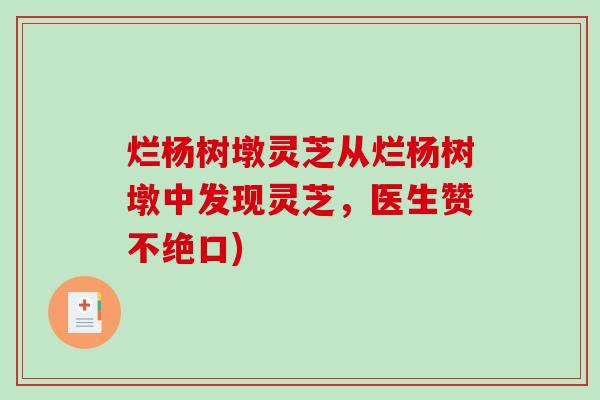 烂杨树墩灵芝从烂杨树墩中发现灵芝，医生赞不绝口)-第1张图片-破壁灵芝孢子粉研究指南