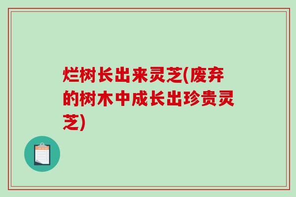 烂树长出来灵芝(废弃的树木中成长出珍贵灵芝)-第1张图片-破壁灵芝孢子粉研究指南 烂树长出来灵芝(废弃的树木中成长出珍贵灵芝)-第1张图片-破壁灵芝孢子粉研究指南