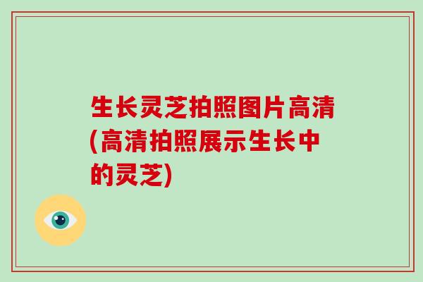 生长灵芝拍照图片高清(高清拍照展示生长中的灵芝)-第1张图片-破壁灵芝孢子粉研究指南