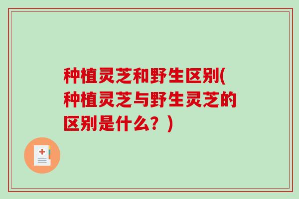 种植灵芝和野生区别(种植灵芝与野生灵芝的区别是什么?)-第1张图片-破壁灵芝孢子粉研究指南 种植灵芝和野生区别(种植灵芝与野生灵芝的区别是什么?)-第1张图片-破壁灵芝孢子粉研究指南