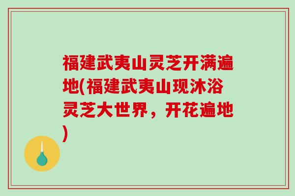 福建武夷山灵芝开满遍地(福建武夷山现沐浴灵芝大世界,开花遍地)-第1张图片-破壁灵芝孢子粉研究指南 福建武夷山灵芝开满遍地(福建武夷山现沐浴灵芝大世界,开花遍地)-第1张图片-破壁灵芝孢子粉研究指南