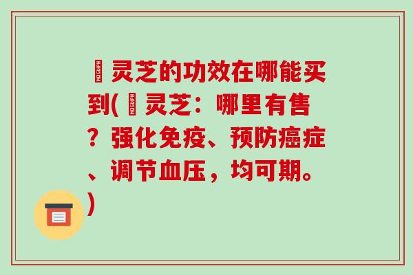 焄灵芝的功效在哪能买到(焄灵芝：哪里有售？强化免疫、预防癌症、调节血压，均可期。)-第1张图片-破壁灵芝孢子粉研究指南