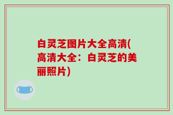 白灵芝图片大全高清(高清大全:白灵芝的美丽照片)-第1张图片-破壁灵芝孢子粉研究指南 白灵芝图片大全高清(高清大全:白灵芝的美丽照片)-第1张图片-破壁灵芝孢子粉研究指南