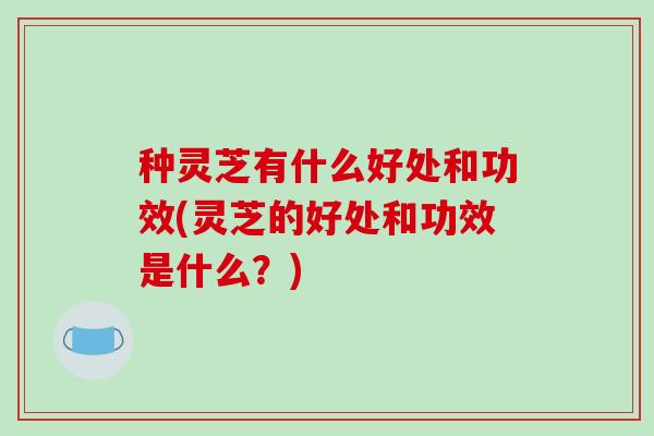 种灵芝有什么好处和功效(灵芝的好处和功效是什么?)-第1张图片-破壁灵芝孢子粉研究指南 种灵芝有什么好处和功效(灵芝的好处和功效是什么?)-第1张图片-破壁灵芝孢子粉研究指南