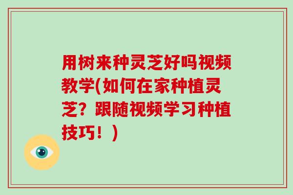 用树来种灵芝好吗视频教学(如何在家种植灵芝?跟随视频学习种植技巧!)-第1张图片-破壁灵芝孢子粉研究指南 用树来种灵芝好吗视频教学(如何在家种植灵芝?跟随视频学习种植技巧!)-第1张图片-破壁灵芝孢子粉研究指南