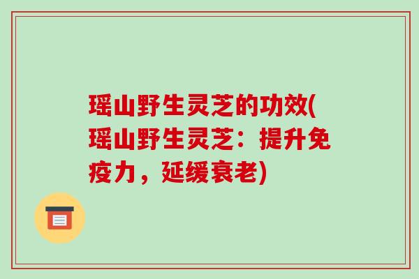 瑶山野生灵芝的功效(瑶山野生灵芝:提升免疫力,延缓衰老)-第1张图片-破壁灵芝孢子粉研究指南 瑶山野生灵芝的功效(瑶山野生灵芝:提升免疫力,延缓衰老)-第1张图片-破壁灵芝孢子粉研究指南