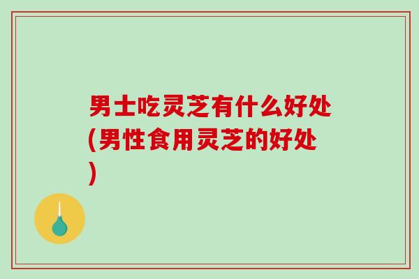 男士吃灵芝有什么好处(男性食用灵芝的好处)-第1张图片-破壁灵芝孢子粉研究指南 男士吃灵芝有什么好处(男性食用灵芝的好处)-第1张图片-破壁灵芝孢子粉研究指南