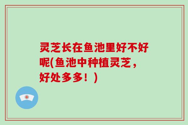 灵芝长在鱼池里好不好呢(鱼池中种植灵芝，好处多多！)-第1张图片-破壁灵芝孢子粉研究指南