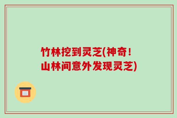 竹林挖到灵芝(神奇!山林间意外发现灵芝)-第1张图片-破壁灵芝孢子粉研究指南 竹林挖到灵芝(神奇!山林间意外发现灵芝)-第1张图片-破壁灵芝孢子粉研究指南