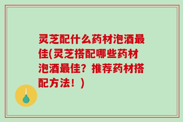 灵芝配什么药材泡酒最佳(灵芝搭配哪些药材泡酒最佳?推荐药材搭配方法!)-第1张图片-破壁灵芝孢子粉研究指南 灵芝配什么药材泡酒最佳(灵芝搭配哪些药材泡酒最佳?推荐药材搭配方法!)-第1张图片-破壁灵芝孢子粉研究指南