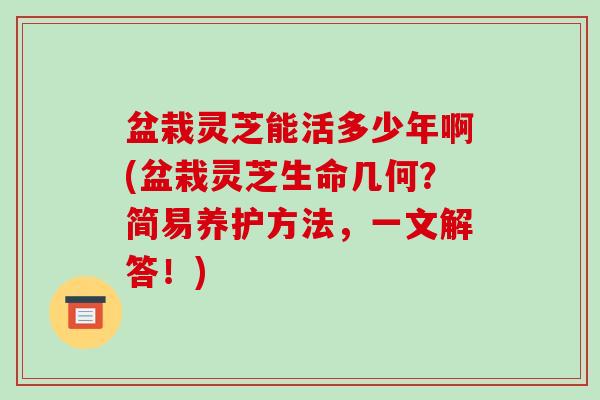 盆栽灵芝能活多少年啊(盆栽灵芝生命几何?简易养护方法,一文解答!)-第1张图片-破壁灵芝孢子粉研究指南 盆栽灵芝能活多少年啊(盆栽灵芝生命几何?简易养护方法,一文解答!)-第1张图片-破壁灵芝孢子粉研究指南