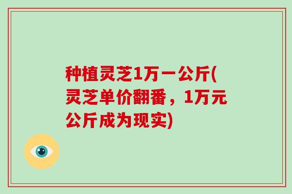 种植灵芝1万一公斤(灵芝单价翻番,1万元公斤成为现实)-第1张图片-破壁灵芝孢子粉研究指南 种植灵芝1万一公斤(灵芝单价翻番,1万元公斤成为现实)-第1张图片-破壁灵芝孢子粉研究指南