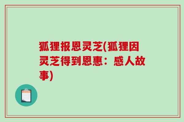 狐狸报恩灵芝(狐狸因灵芝得到恩惠:感人故事)-第1张图片-破壁灵芝孢子粉研究指南 狐狸报恩灵芝(狐狸因灵芝得到恩惠:感人故事)-第1张图片-破壁灵芝孢子粉研究指南