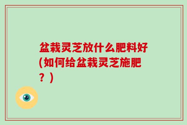 盆栽灵芝放什么肥料好(如何给盆栽灵芝施肥？)-第1张图片-破壁灵芝孢子粉研究指南