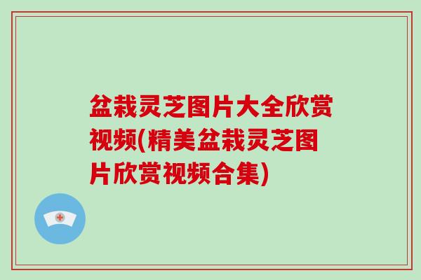 盆栽灵芝图片大全欣赏视频(精美盆栽灵芝图片欣赏视频合集)-第1张图片-破壁灵芝孢子粉研究指南 盆栽灵芝图片大全欣赏视频(精美盆栽灵芝图片欣赏视频合集)-第1张图片-破壁灵芝孢子粉研究指南