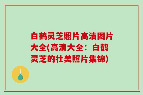 白鹤灵芝照片高清图片大全(高清大全:白鹤灵芝的壮美照片集锦)-第1张图片-破壁灵芝孢子粉研究指南 白鹤灵芝照片高清图片大全(高清大全:白鹤灵芝的壮美照片集锦)-第1张图片-破壁灵芝孢子粉研究指南