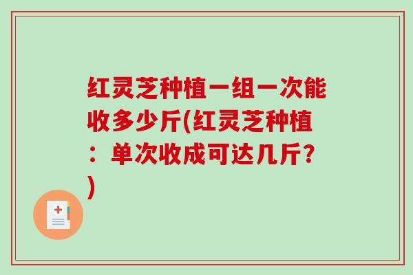 红灵芝种植一组一次能收多少斤(红灵芝种植:单次收成可达几斤?)-第1张图片-破壁灵芝孢子粉研究指南 红灵芝种植一组一次能收多少斤(红灵芝种植:单次收成可达几斤?)-第1张图片-破壁灵芝孢子粉研究指南