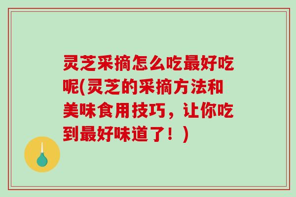 灵芝采摘怎么吃最好吃呢(灵芝的采摘方法和美味食用技巧，让你吃到最好味道了！)-第1张图片-破壁灵芝孢子粉研究指南