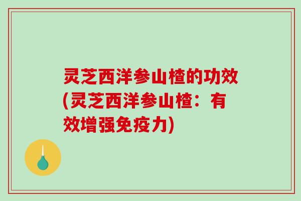 灵芝西洋参山楂的功效(灵芝西洋参山楂：有效增强免疫力)-第1张图片-破壁灵芝孢子粉研究指南