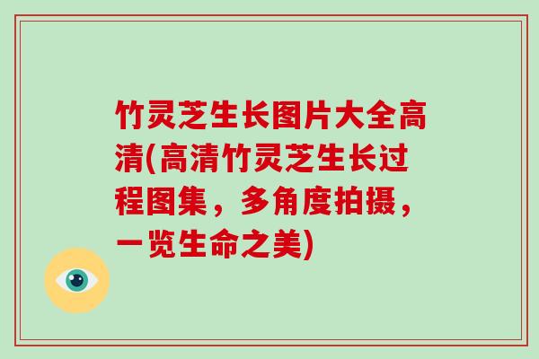 竹灵芝生长图片大全高清(高清竹灵芝生长过程图集，多角度拍摄，一览生命之美)-第1张图片-破壁灵芝孢子粉研究指南