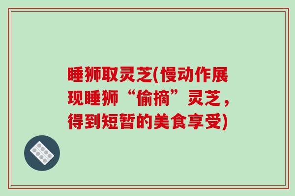 睡狮取灵芝(慢动作展现睡狮“偷摘”灵芝,得到短暂的美食享受)-第1张图片-破壁灵芝孢子粉研究指南 睡狮取灵芝(慢动作展现睡狮“偷摘”灵芝,得到短暂的美食享受)-第1张图片-破壁灵芝孢子粉研究指南