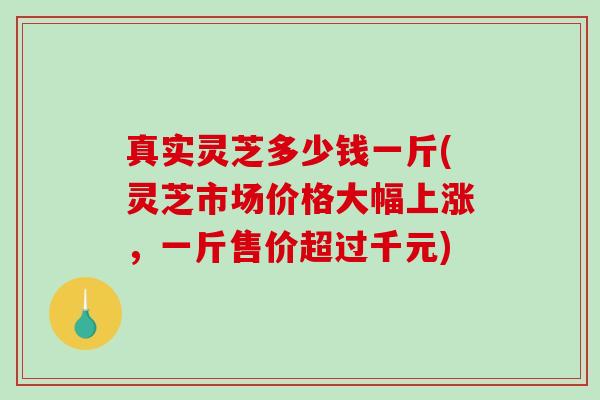 真实灵芝多少钱一斤(灵芝市场价格大幅上涨,一斤售价超过千元)-第1张图片-破壁灵芝孢子粉研究指南 真实灵芝多少钱一斤(灵芝市场价格大幅上涨,一斤售价超过千元)-第1张图片-破壁灵芝孢子粉研究指南
