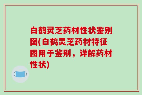 白鹤灵芝药材性状鉴别图(白鹤灵芝药材特征图用于鉴别,详解药材性状)-第1张图片-破壁灵芝孢子粉研究指南 白鹤灵芝药材性状鉴别图(白鹤灵芝药材特征图用于鉴别,详解药材性状)-第1张图片-破壁灵芝孢子粉研究指南