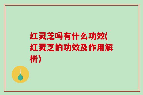 红灵芝吗有什么功效(红灵芝的功效及作用解析)-第1张图片-破壁灵芝孢子粉研究指南 红灵芝吗有什么功效(红灵芝的功效及作用解析)-第1张图片-破壁灵芝孢子粉研究指南