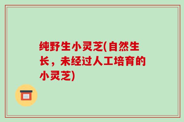纯野生小灵芝(自然生长，未经过人工培育的小灵芝)-第1张图片-破壁灵芝孢子粉研究指南