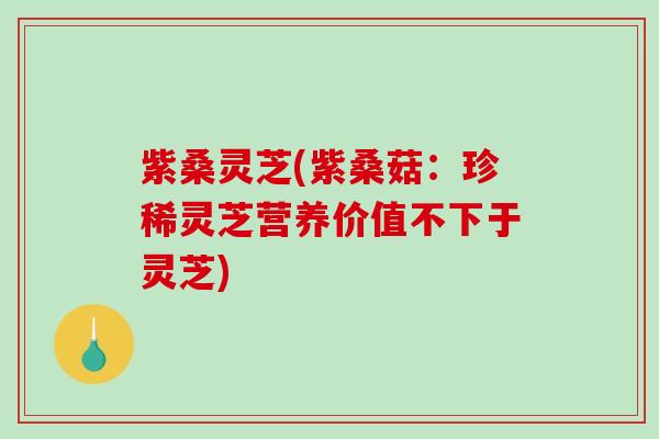 紫桑灵芝(紫桑菇：珍稀灵芝营养价值不下于灵芝)-第1张图片-破壁灵芝孢子粉研究指南