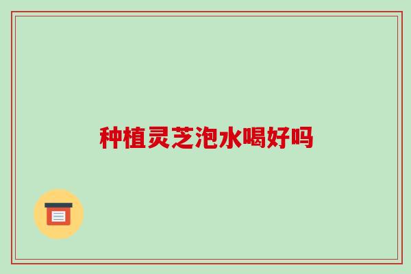 种植灵芝泡水喝好吗-第1张图片-破壁灵芝孢子粉研究指南