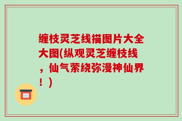 缠枝灵芝线描图片大全大图(纵观灵芝缠枝线,仙气萦绕弥漫神仙界!)-第1张图片-破壁灵芝孢子粉研究指南 缠枝灵芝线描图片大全大图(纵观灵芝缠枝线,仙气萦绕弥漫神仙界!)-第1张图片-破壁灵芝孢子粉研究指南