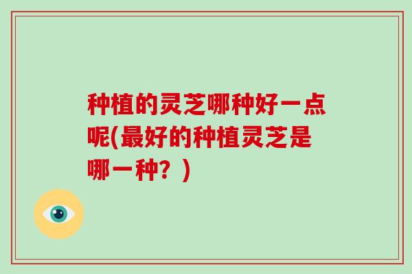 种植的灵芝哪种好一点呢(最好的种植灵芝是哪一种?)-第1张图片-破壁灵芝孢子粉研究指南 种植的灵芝哪种好一点呢(最好的种植灵芝是哪一种?)-第1张图片-破壁灵芝孢子粉研究指南