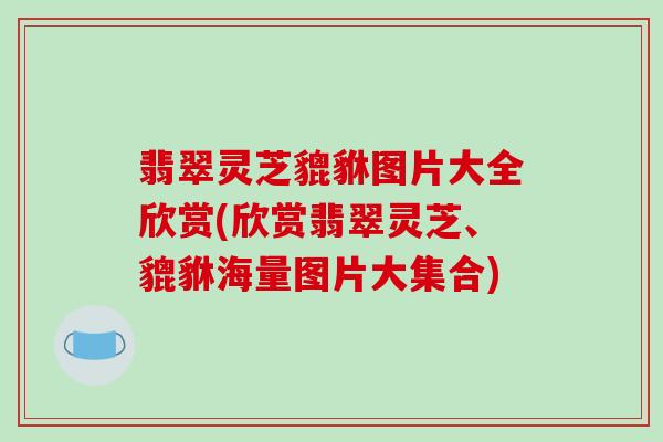 翡翠灵芝貔貅图片大全欣赏(欣赏翡翠灵芝、貔貅海量图片大集合)-第1张图片-破壁灵芝孢子粉研究指南 翡翠灵芝貔貅图片大全欣赏(欣赏翡翠灵芝、貔貅海量图片大集合)-第1张图片-破壁灵芝孢子粉研究指南