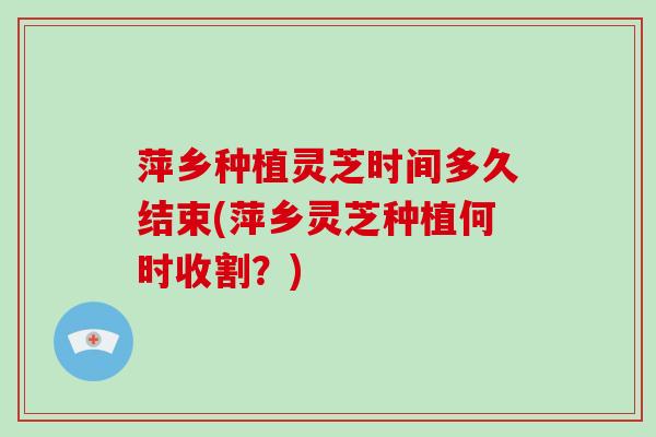 萍乡种植灵芝时间多久结束(萍乡灵芝种植何时收割?)-第1张图片-破壁灵芝孢子粉研究指南 萍乡种植灵芝时间多久结束(萍乡灵芝种植何时收割?)-第1张图片-破壁灵芝孢子粉研究指南