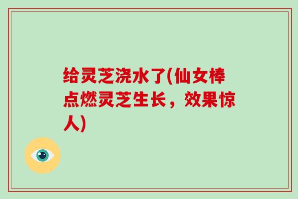 给灵芝浇水了(仙女棒点燃灵芝生长,效果惊人)-第1张图片-破壁灵芝孢子粉研究指南 给灵芝浇水了(仙女棒点燃灵芝生长,效果惊人)-第1张图片-破壁灵芝孢子粉研究指南